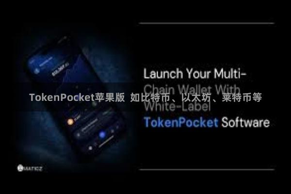 TokenPocket苹果版  如比特币、以太坊、莱特币等